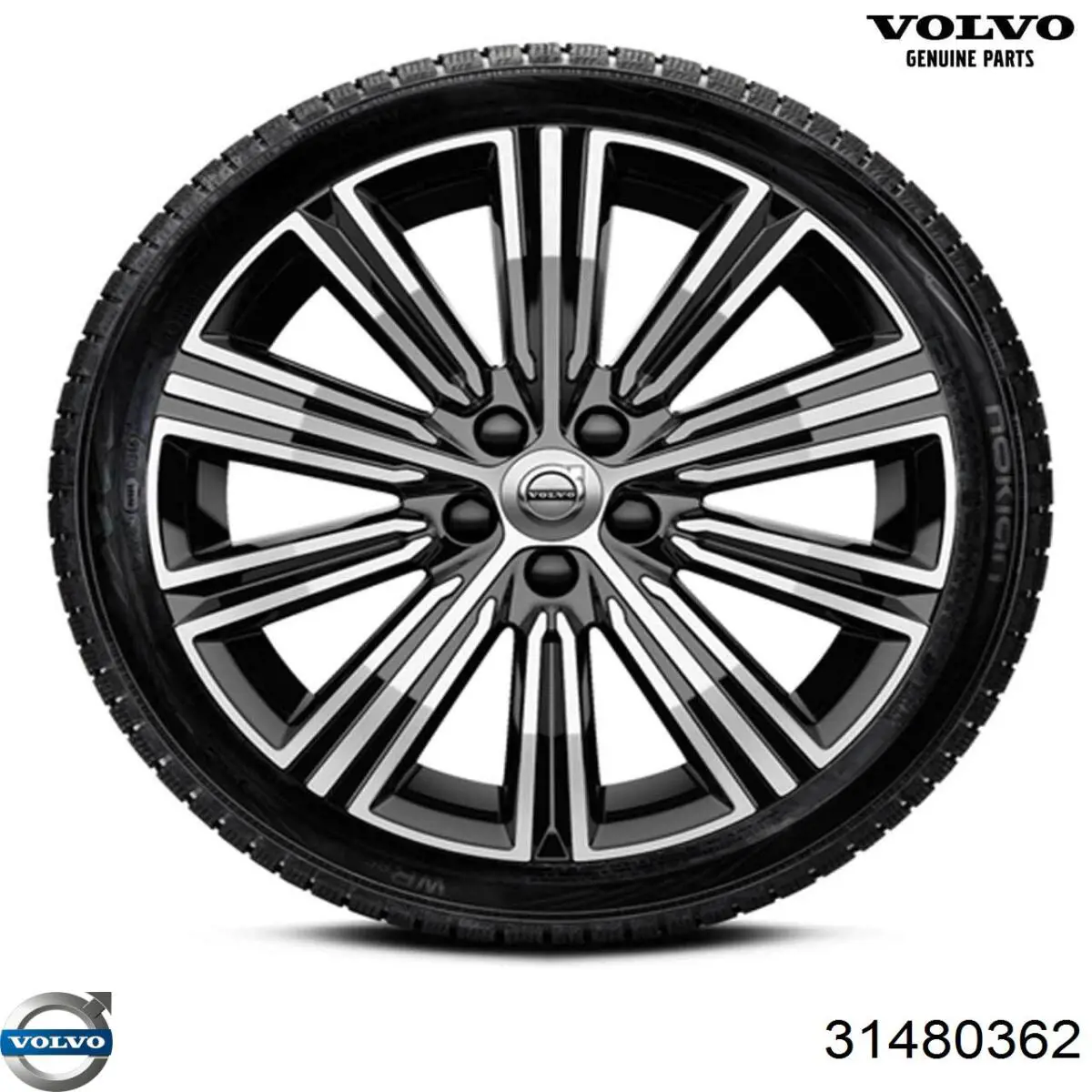 Correa de transmisión para Volvo V40 (525, 526)