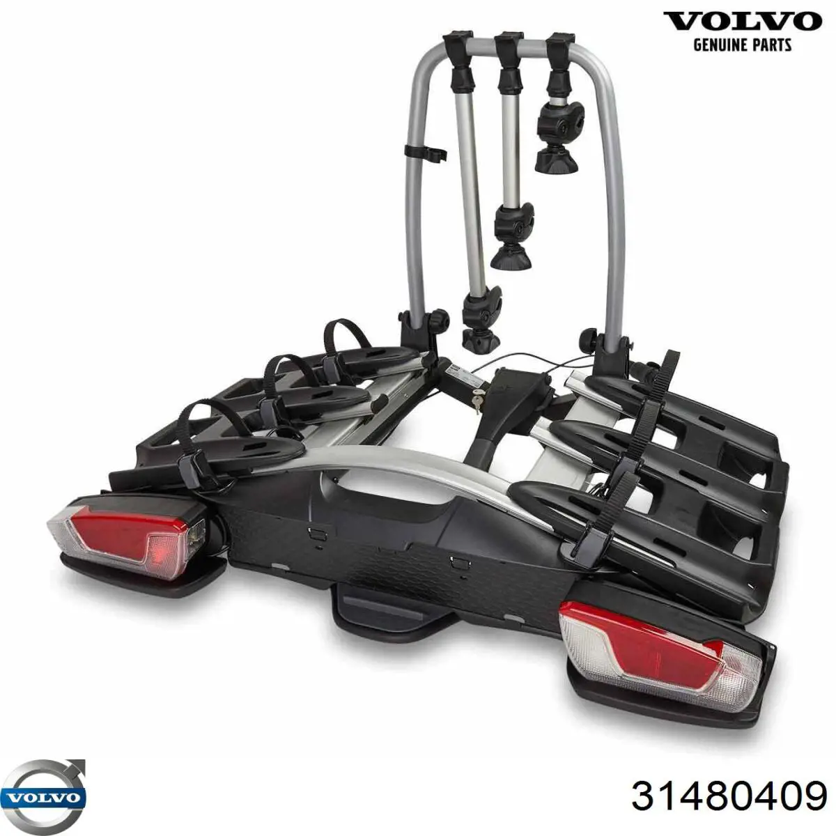 31480409 Volvo Correa de transmisión, completo