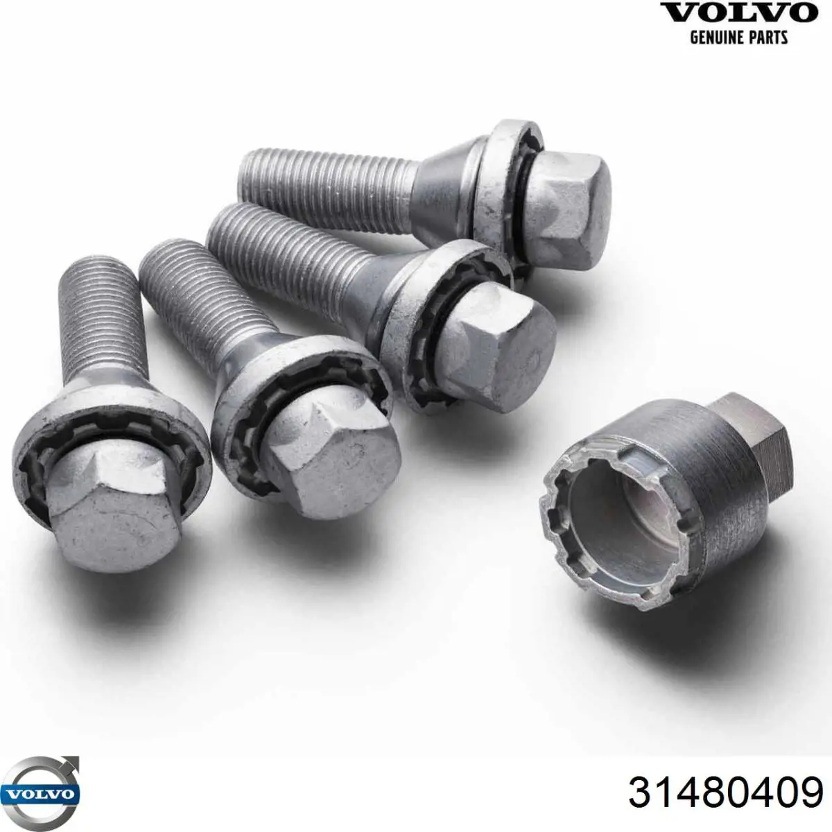 Correa de transmisión Volvo 31480409