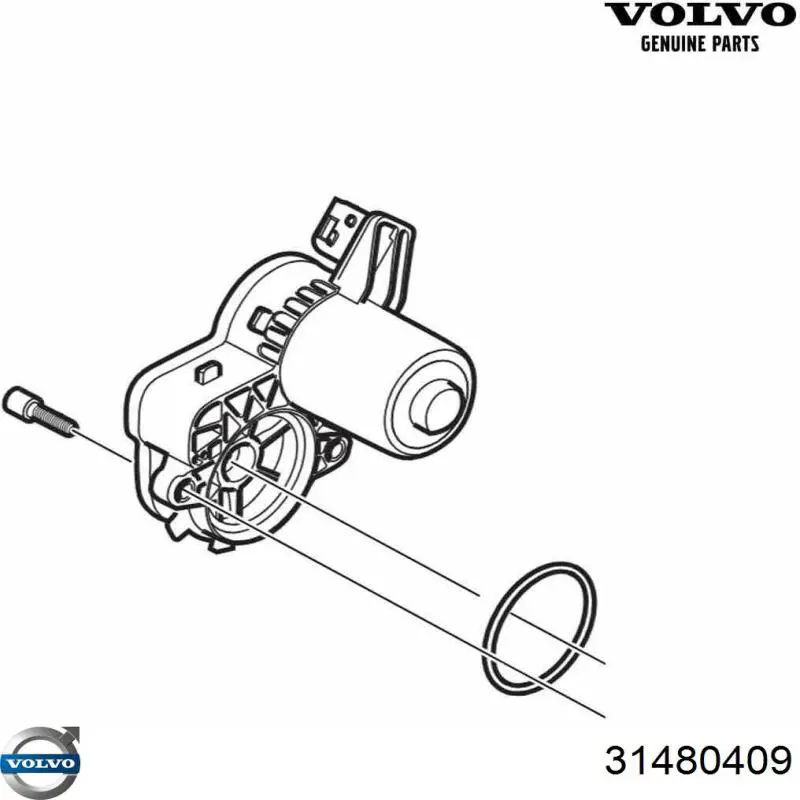 31480409 Volvo Correa de transmisión, completo