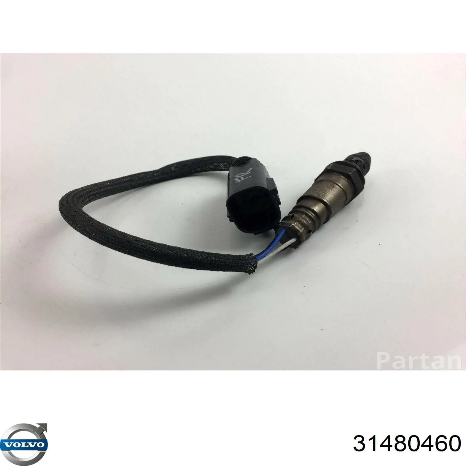 Sensor de oxígeno previo al catalizador Volvo 31480460