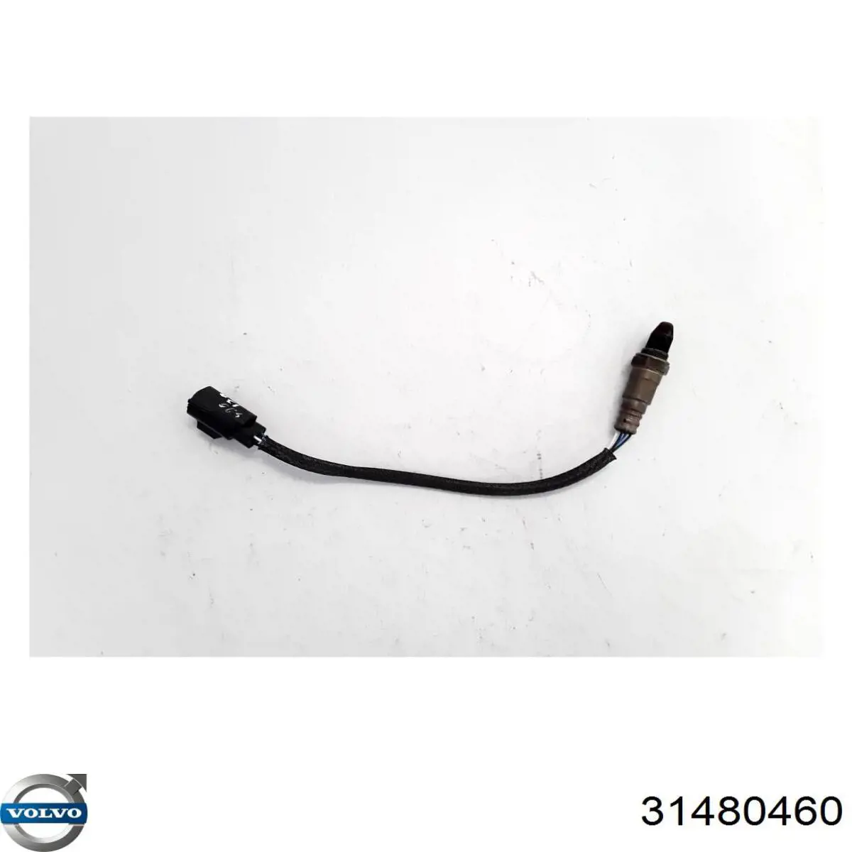 Sensor de oxígeno previo al catalizador Volvo 31480460 precio, desde 88,81 EUR