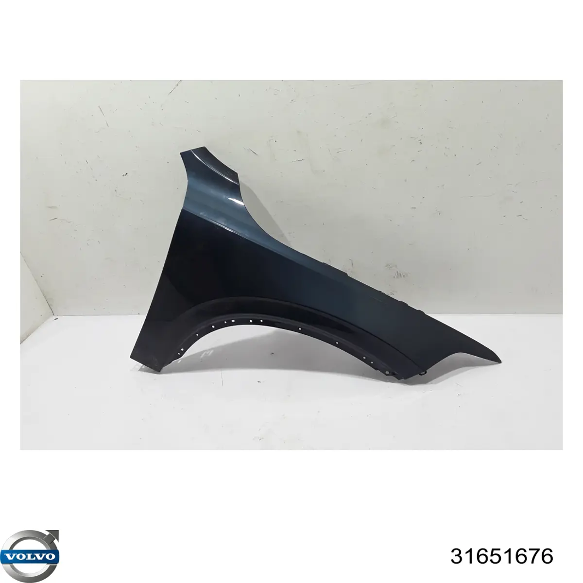 Comprar 31651676 Volvo Aleta