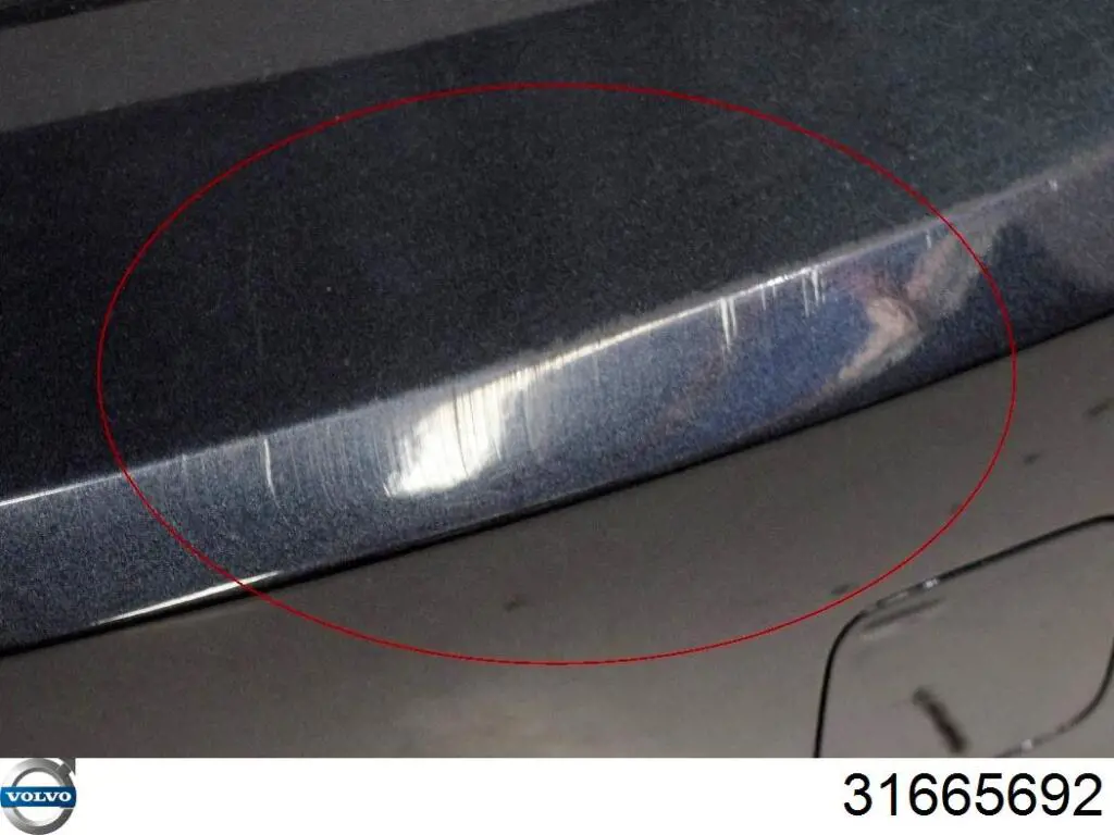 Sensor de ángulo muerto trasero Volvo 31665692 precio, desde 288,95 EUR