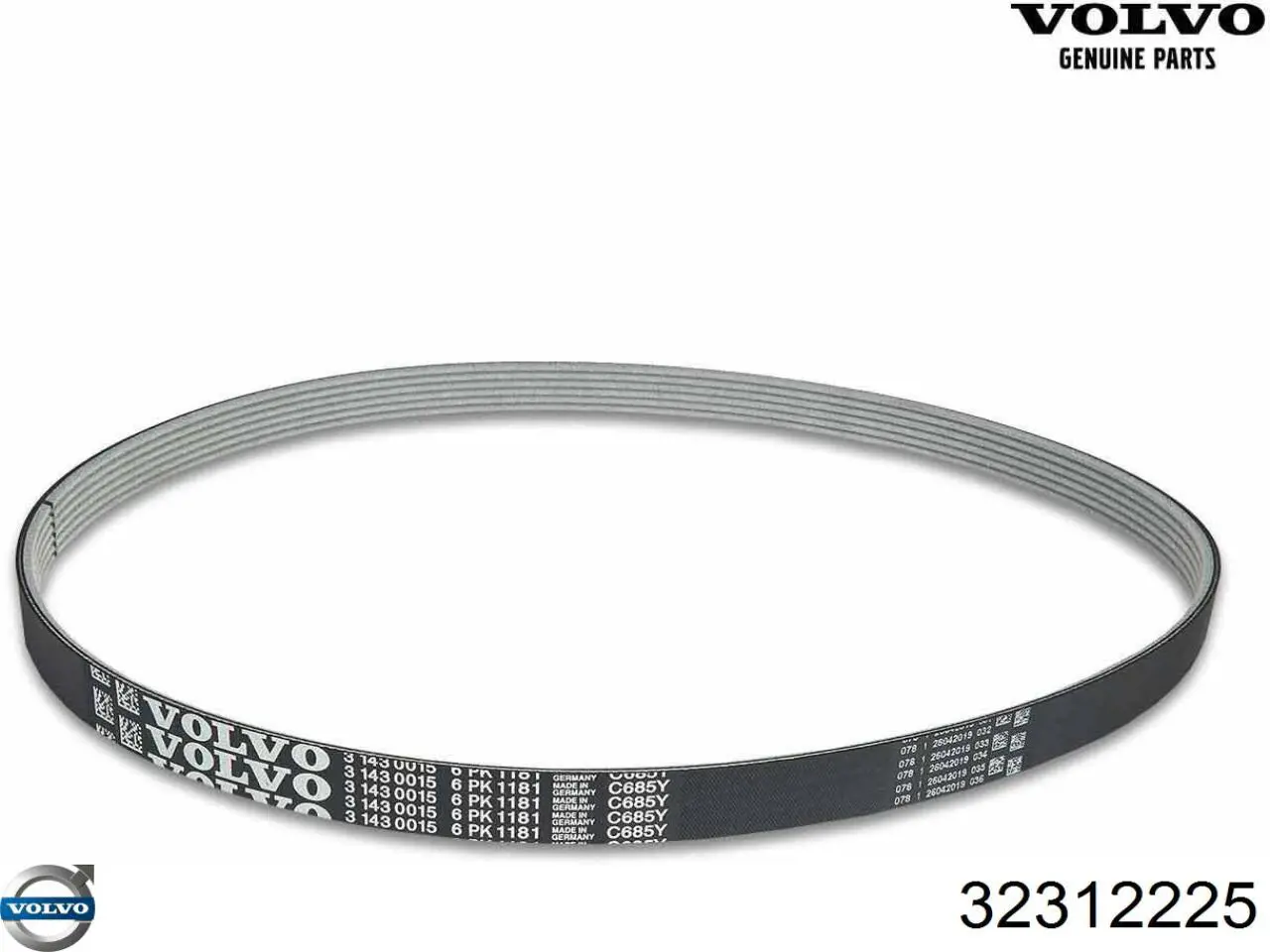 32312225 Volvo Filtro de gasolina