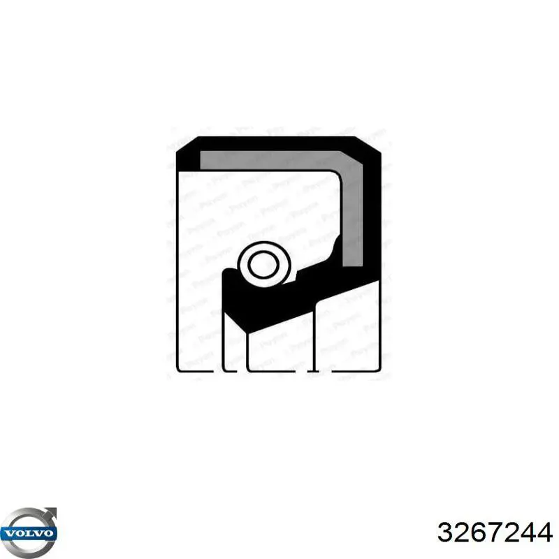 7700517057 Renault (RVI) anillo retén, cigüeñal