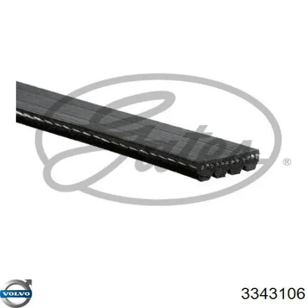 3343106 Volvo Correa poly v