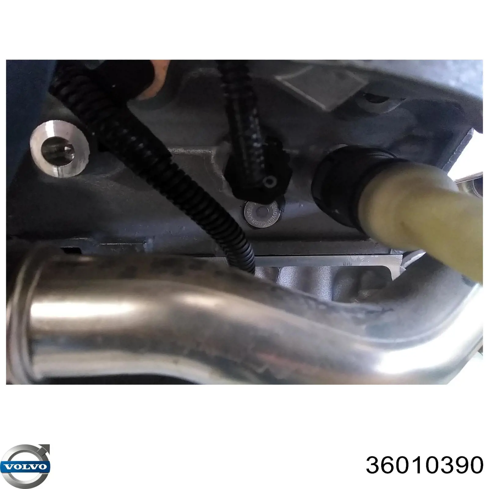 36010046 Volvo Bomba de inyección