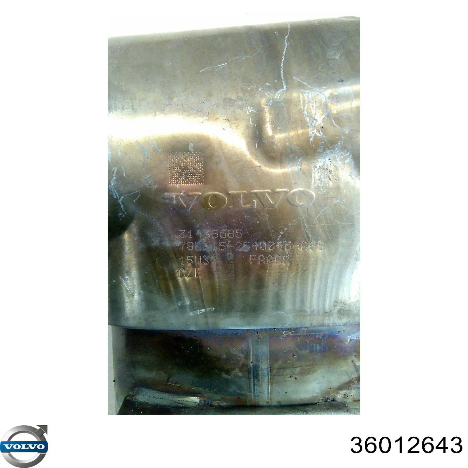 Catalizador AS/Auto Storm FL5179 precio, desde 752,14 EUR
