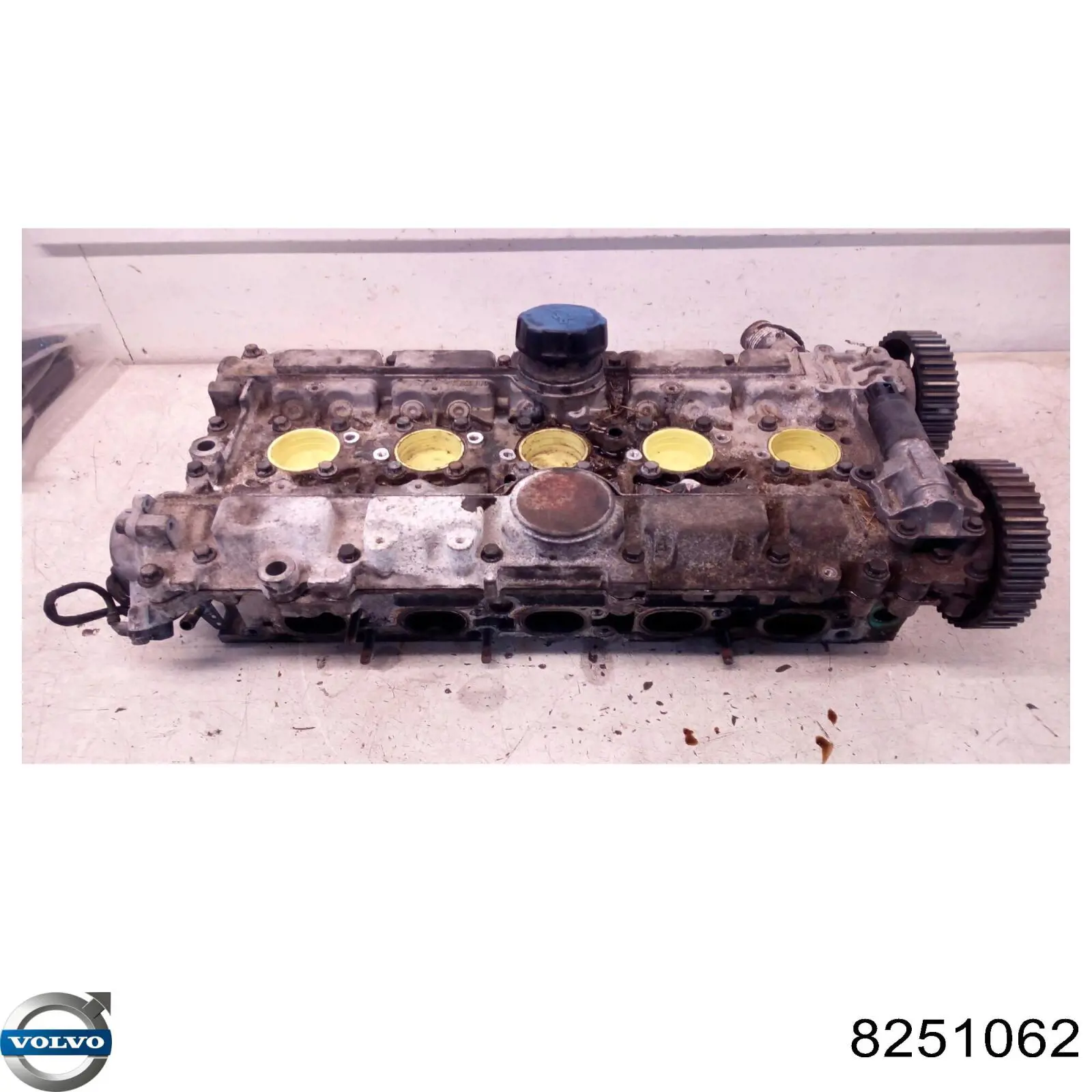 Cabeza de cilindro Volvo 8251062 precio, desde  