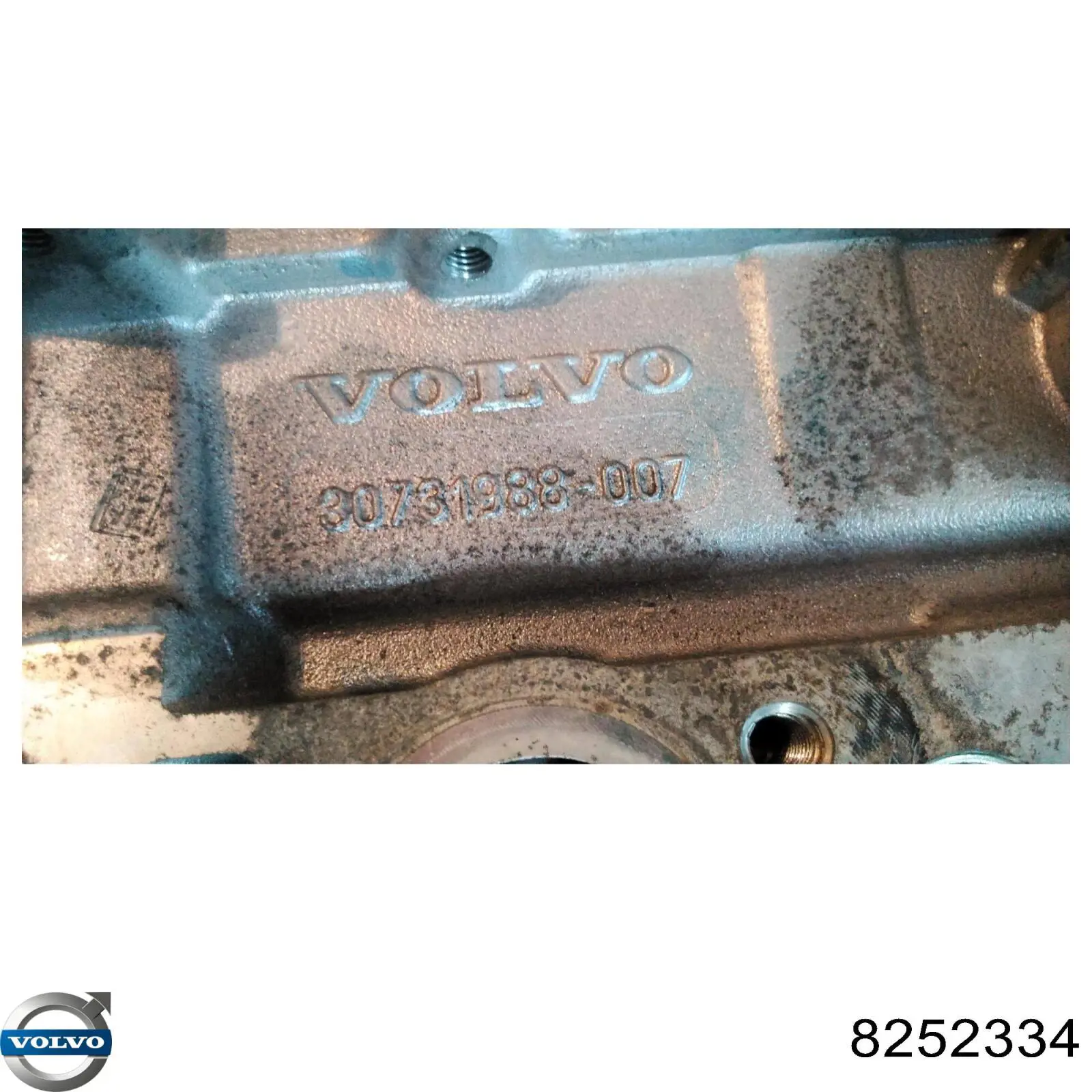Cabeza de cilindro Volvo 8252334 precio, desde  EUR