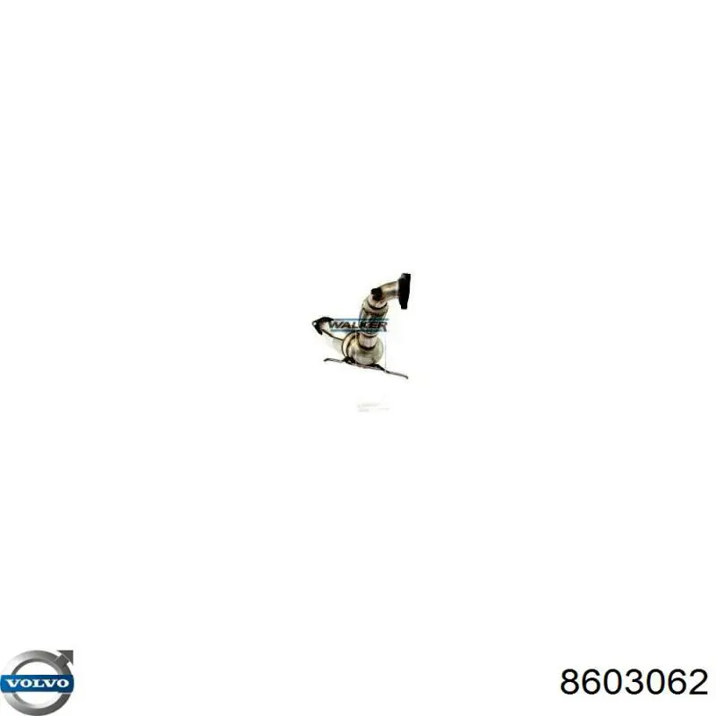 Catalizador Volvo 8603062 precio, desde 366,25 EUR