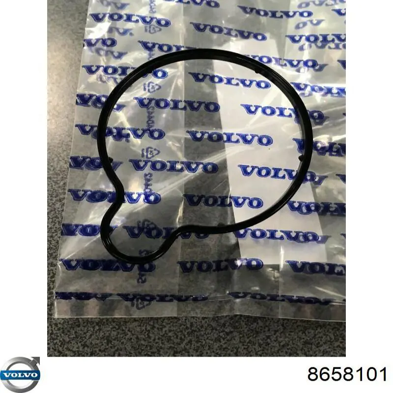 Junta de la bomba de vacío Volvo 8658101 precio, desde 7,46 EUR