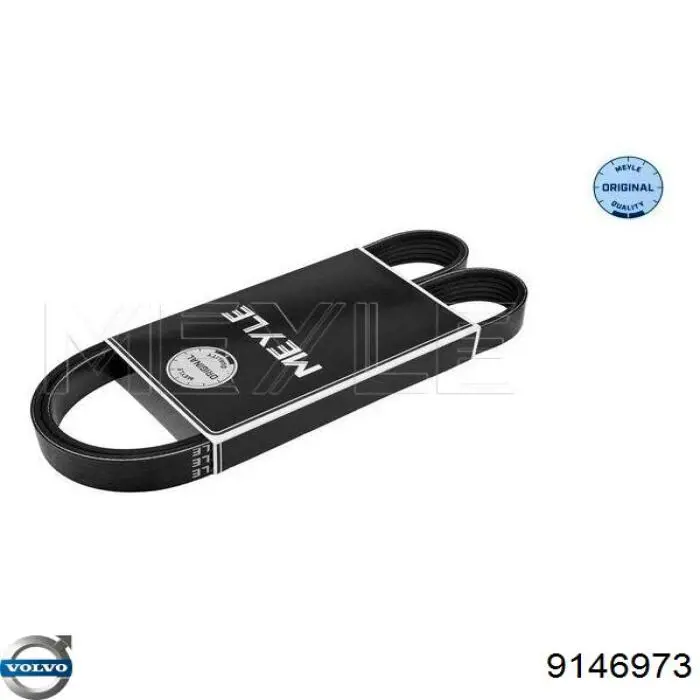 Correa de transmisión trapezoidal Volvo 9146973 precio, desde 14,02 EUR