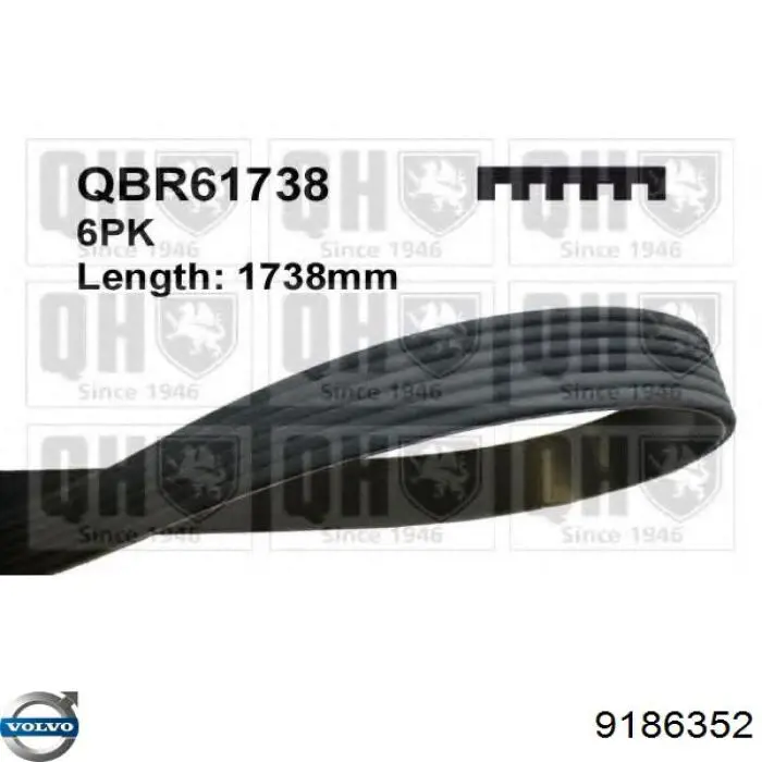 Correa de transmisión trapezoidal Volvo 9186352 precio, desde 17,54 EUR