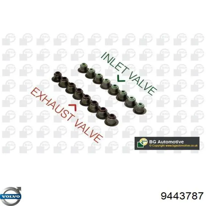 Sello De Aceite De Valvula para Volvo S80 (TS, TH, KV)