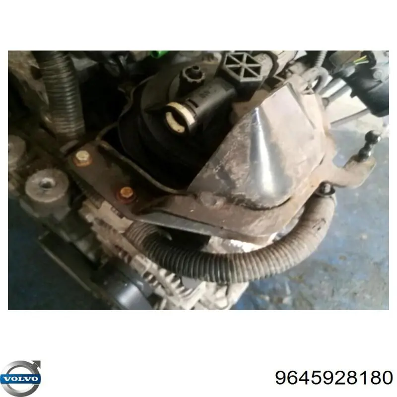 Caja del filtro de combustible 9645928180 Volvo