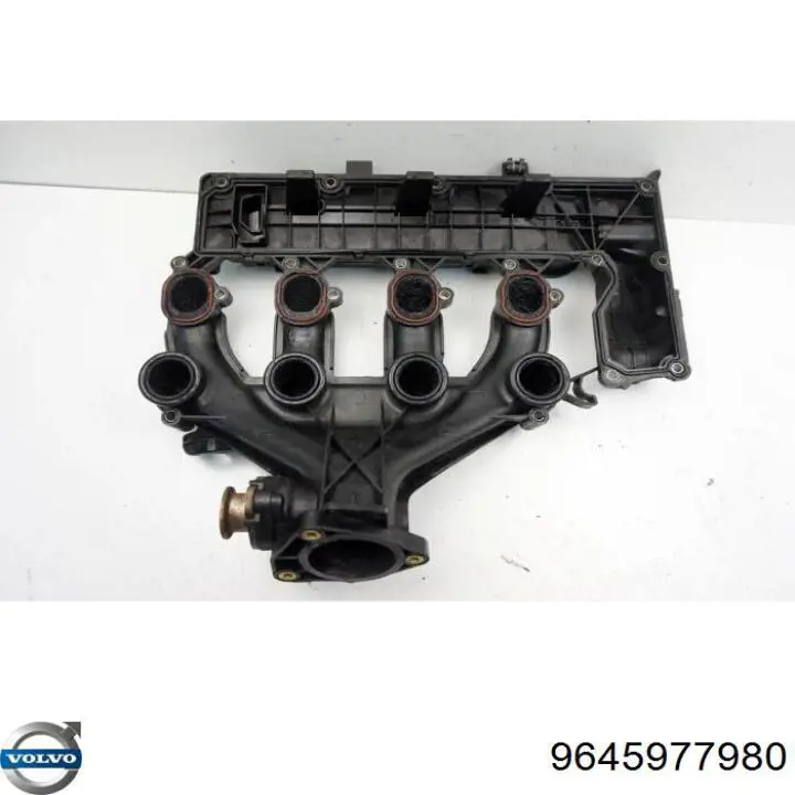Tapa de balancines 1313921 Ford