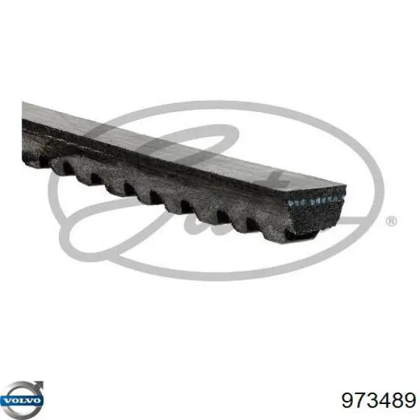 Correa trapezoidal Ford Ranger ET