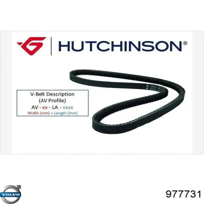 Correa trapezoidal Hyundai H-1 STAREX