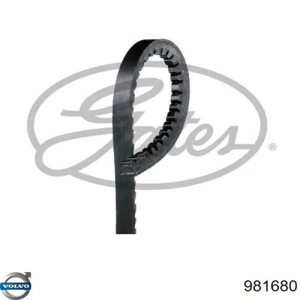 Correa de transmisión trapezoidal Dayco 11A1005C precio, desde 7,97 EUR