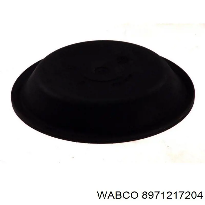  8971217204 Wabco
