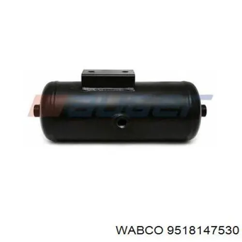 Comprar 4913NP02 Continental/Siemens Bolsa de aire del eje trasero