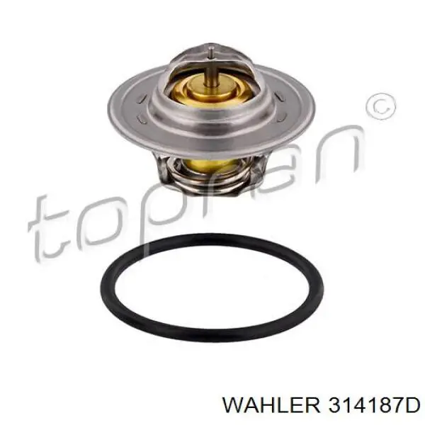 314187D Wahler Termostato de agua