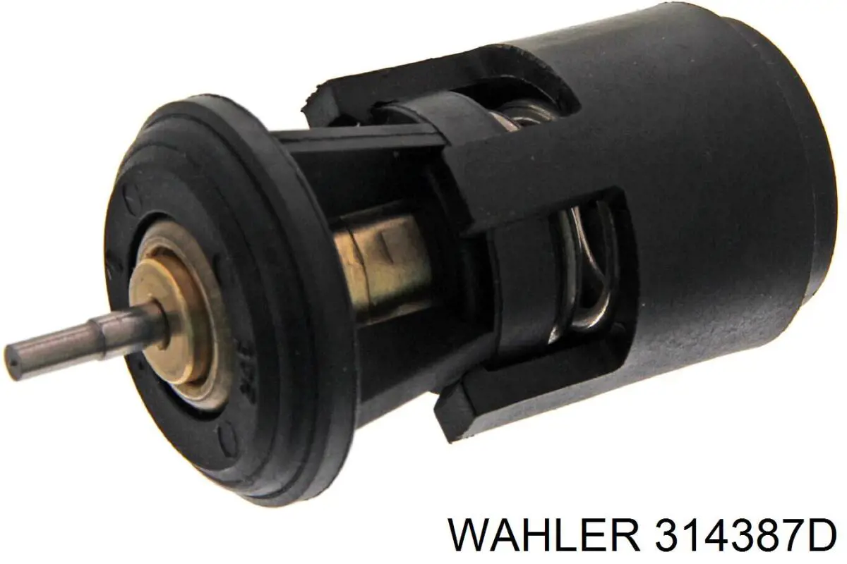 314387D Wahler Termostato de agua