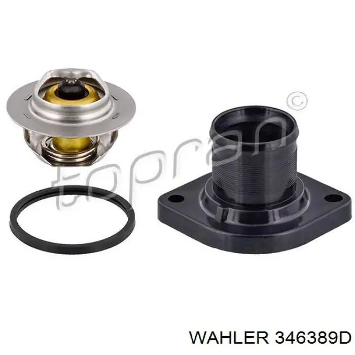 346389D Wahler Termostato de agua