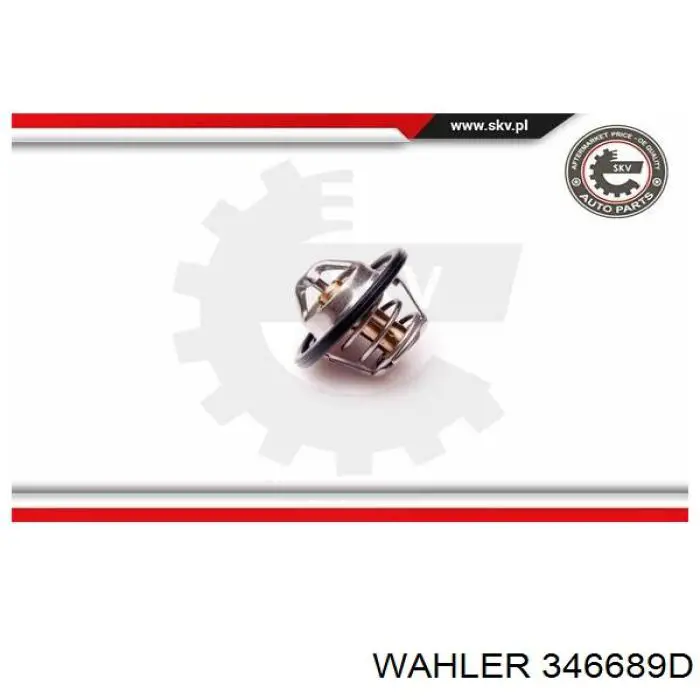 Termostato, refrigerante Renault Laguna 2 BG0, BG1