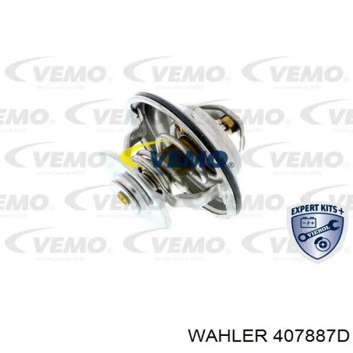 407887D Wahler Termostato de agua