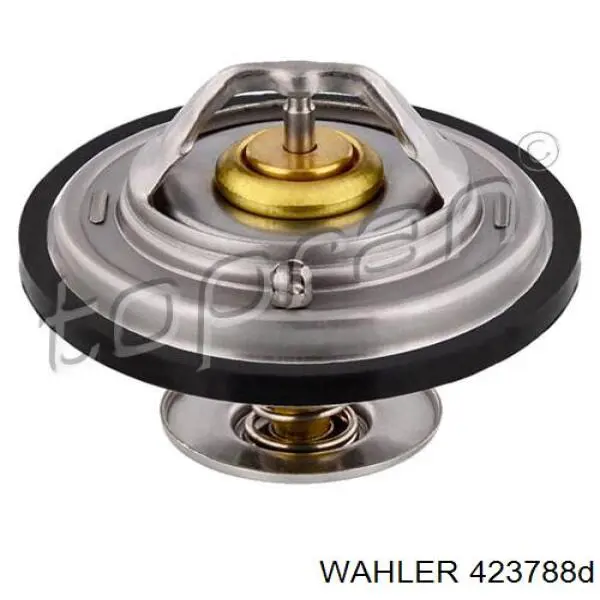 Jeep Grand Cherokee 1 Z