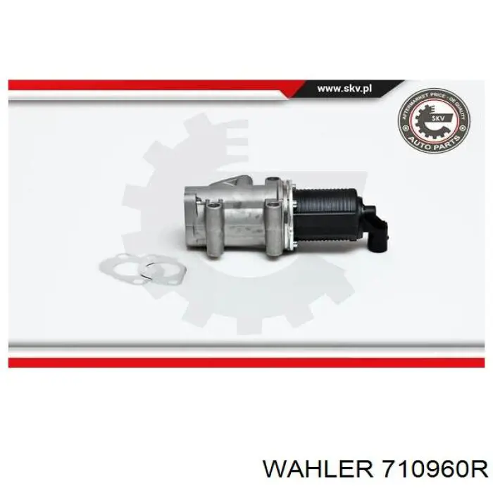 Válvula EGR ERA 555035A