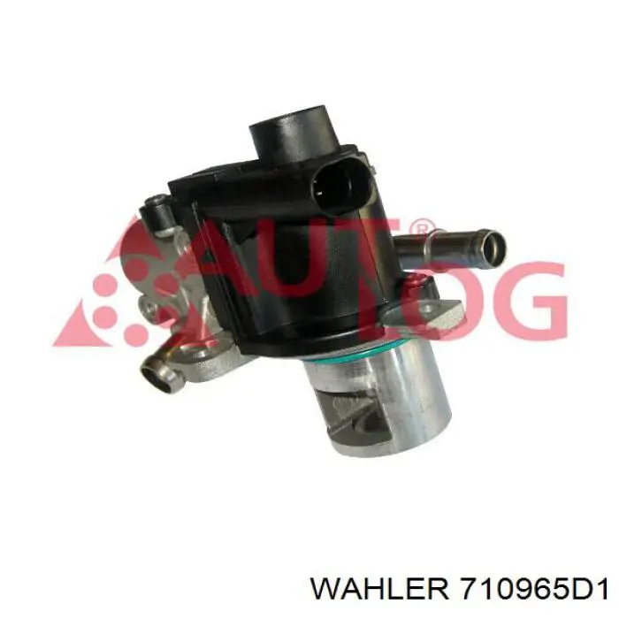 Comprar EV127 Magneti Marelli Válvula EGR