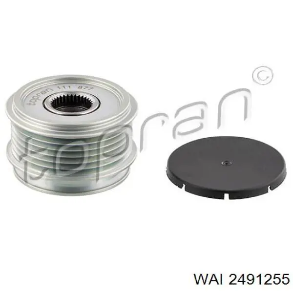 Polea alternador 074903119D VAG