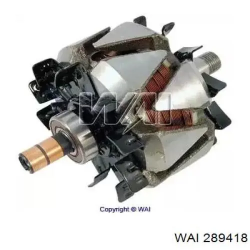 Rotor del alternador 72320766 Profit