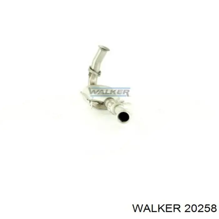 20258 Walker