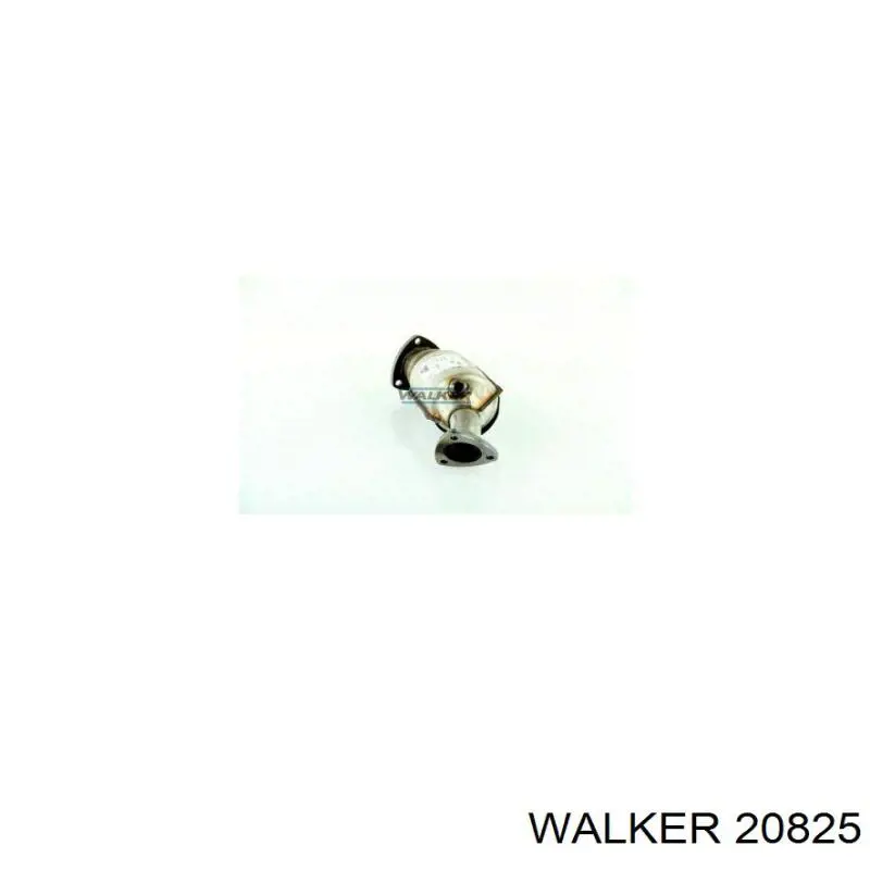 20825 Walker catalizador