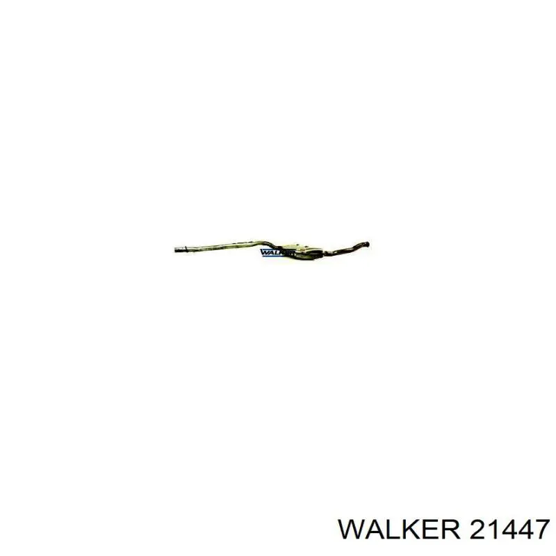 21447 Walker