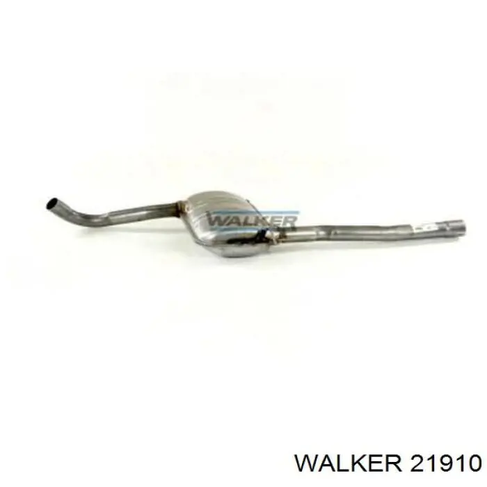 21910 Walker