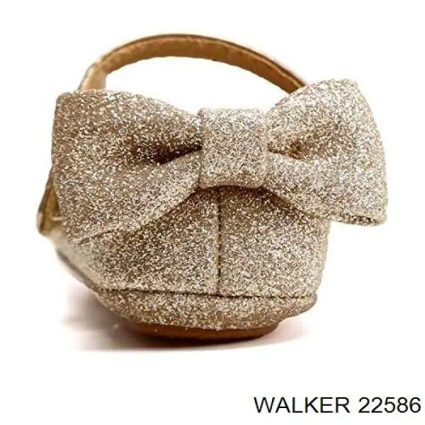 22586 Walker 