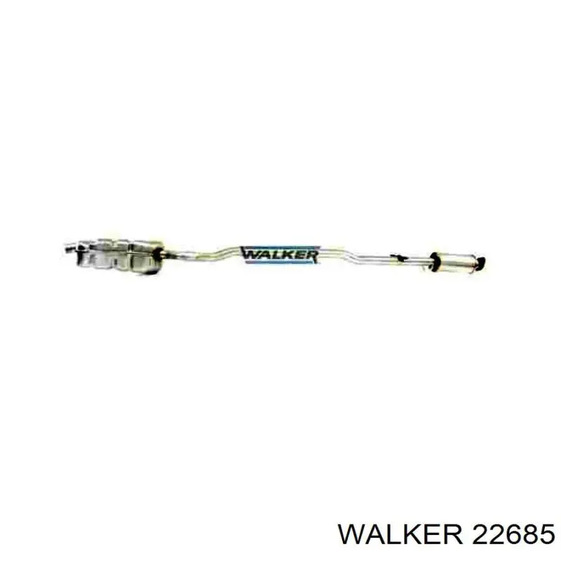 22685 Walker