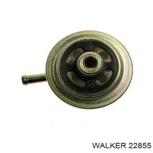 22855 Walker