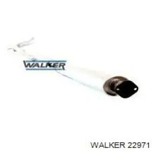 22971 Walker