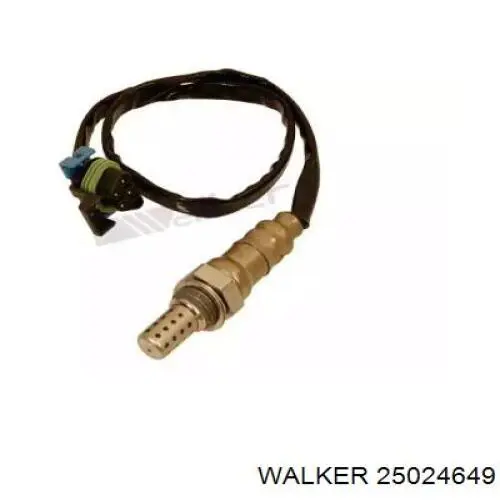 25024649 Walker