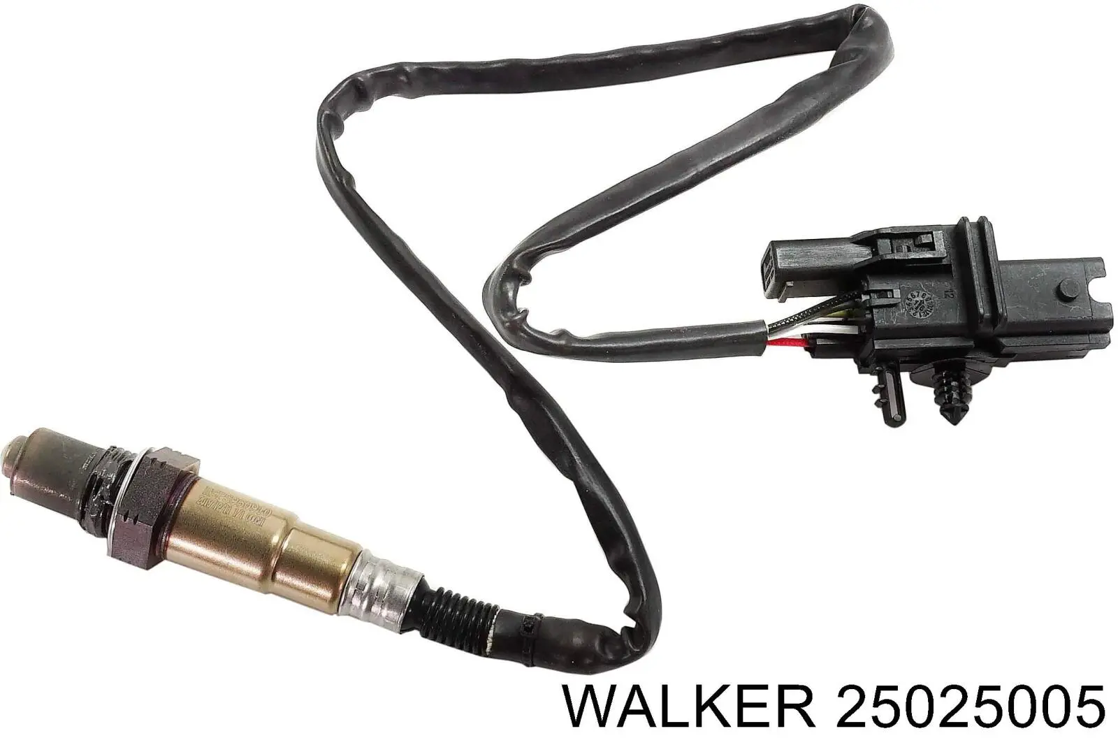 25025005 Walker sonda lambda