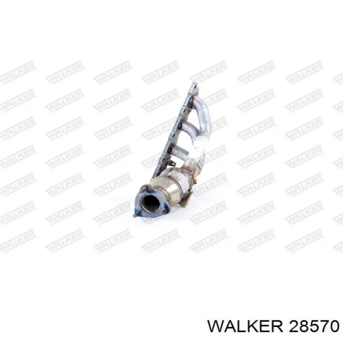 Colector de escape 036253020SX VAG