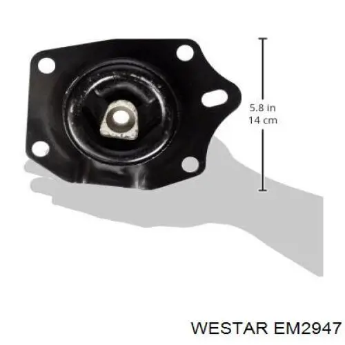 EM2947 Westar soporte de motor derecho