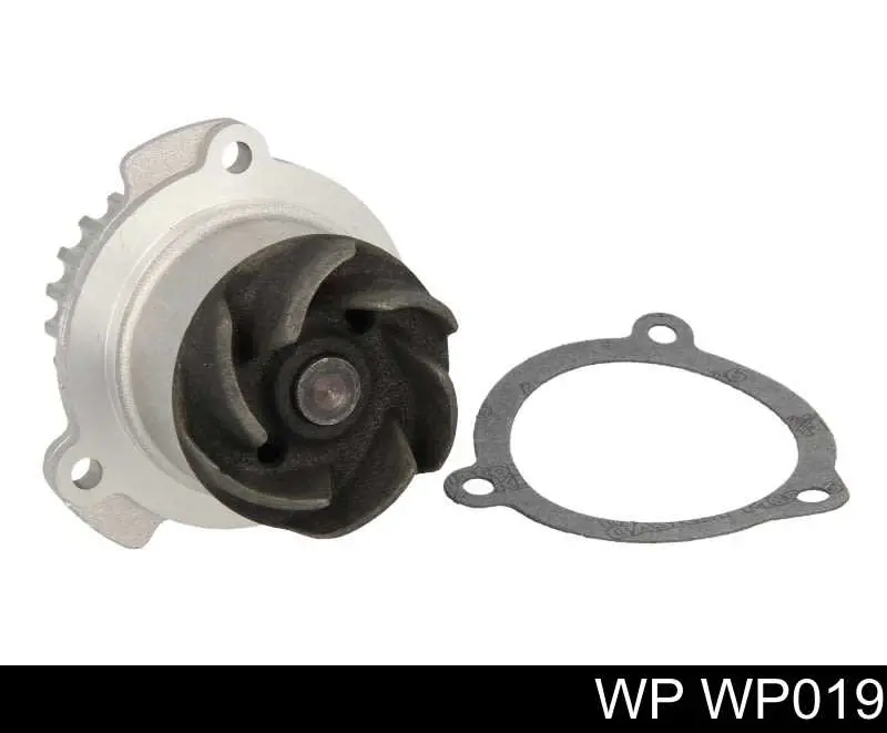 WP019 WP 